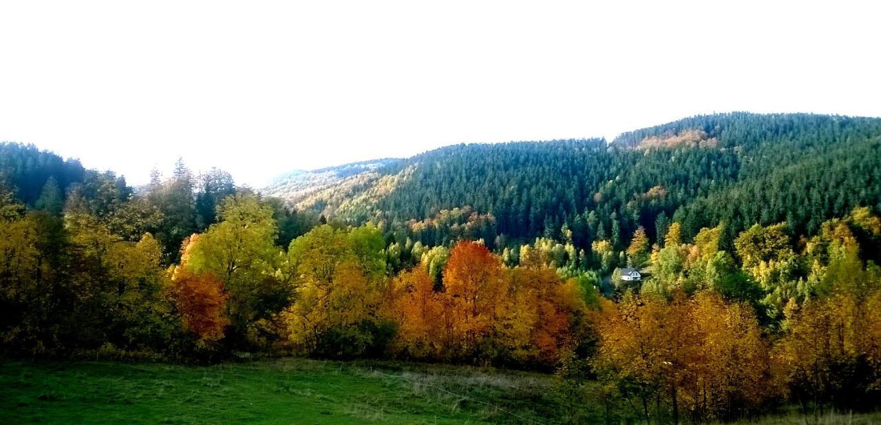 Agroturystyka Gluszyca Lomnica Lomnica  Exteriér fotografie