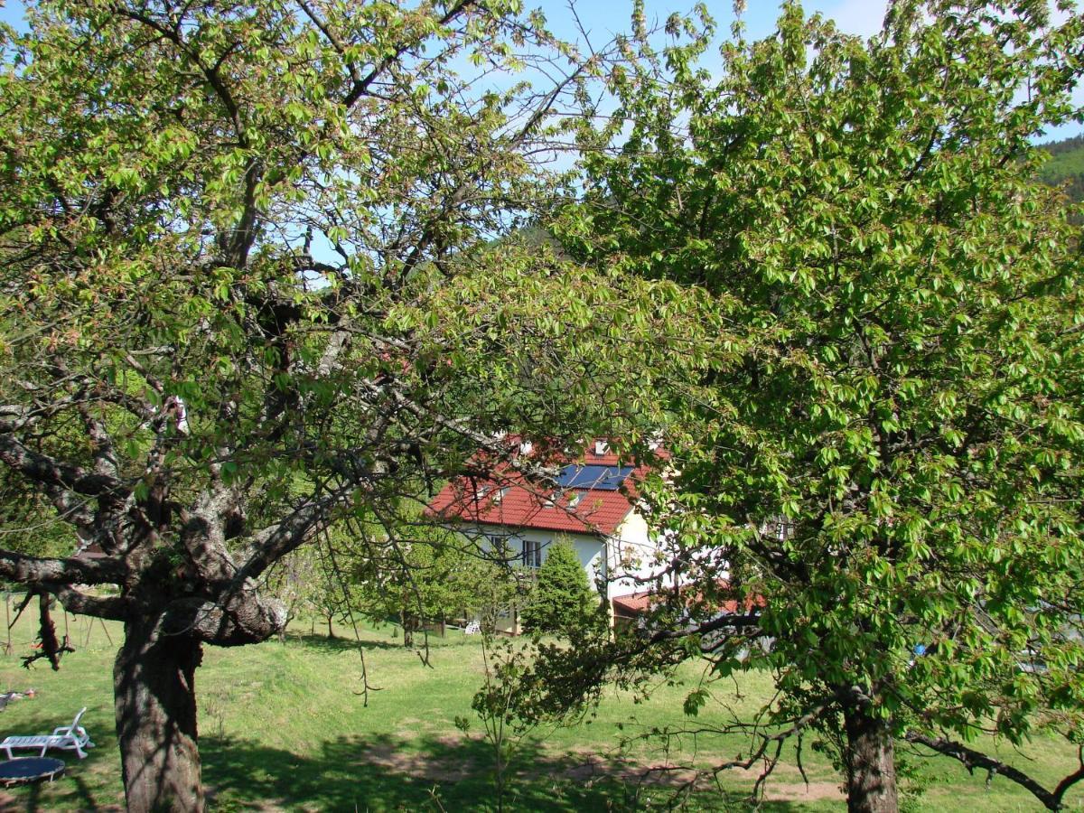 Agroturystyka Gluszyca Lomnica Lomnica  Exteriér fotografie